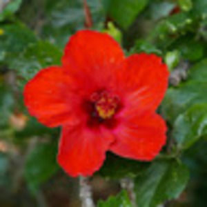 Meet your Posher, Christy